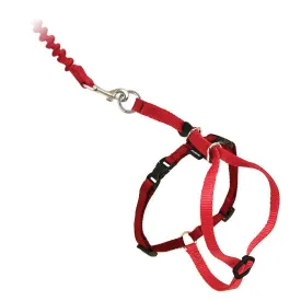 PetSafe Come With Me Kitty™ Cat Harness & Bungee Leash